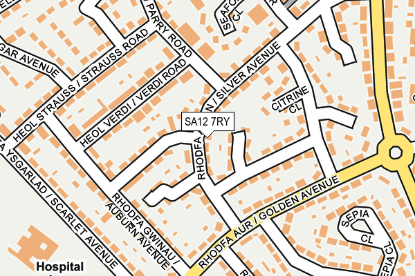 SA12 7RY map - OS OpenMap – Local (Ordnance Survey)