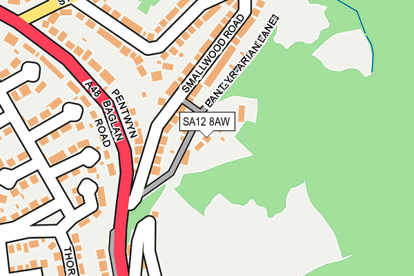 SA12 8AW map - OS OpenMap – Local (Ordnance Survey)