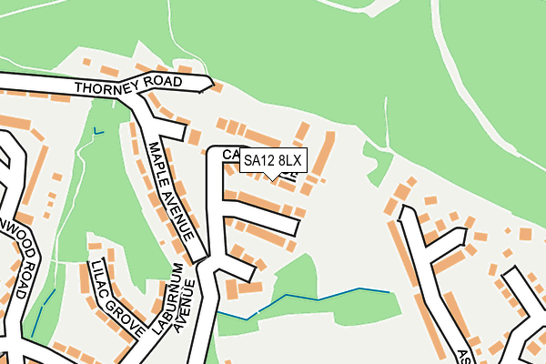 SA12 8LX map - OS OpenMap – Local (Ordnance Survey)
