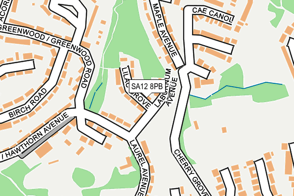 SA12 8PB map - OS OpenMap – Local (Ordnance Survey)