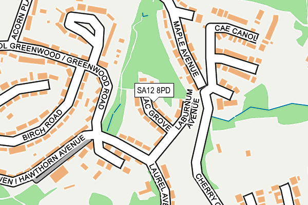 SA12 8PD map - OS OpenMap – Local (Ordnance Survey)