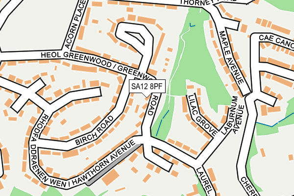 SA12 8PF map - OS OpenMap – Local (Ordnance Survey)