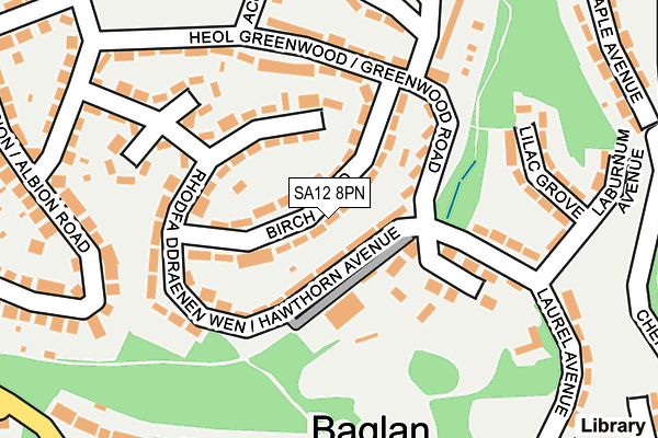 SA12 8PN map - OS OpenMap – Local (Ordnance Survey)