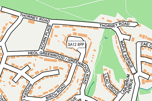 SA12 8PP map - OS OpenMap – Local (Ordnance Survey)