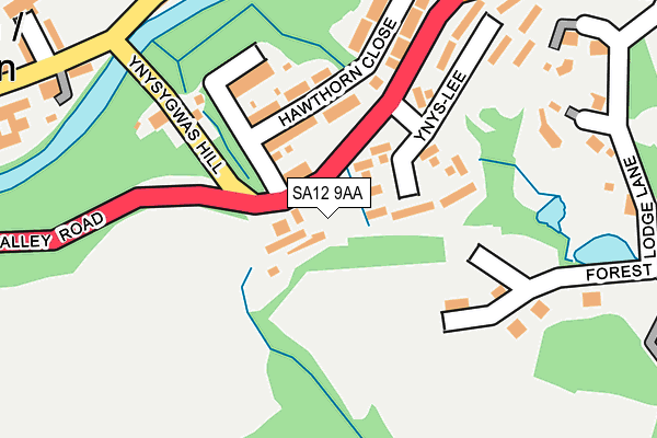SA12 9AA map - OS OpenMap – Local (Ordnance Survey)