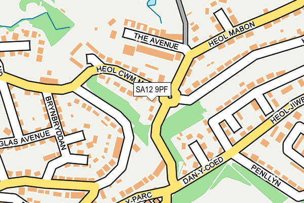 SA12 9PF map - OS OpenMap – Local (Ordnance Survey)