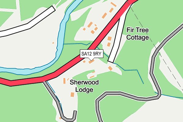 SA12 9RY map - OS OpenMap – Local (Ordnance Survey)