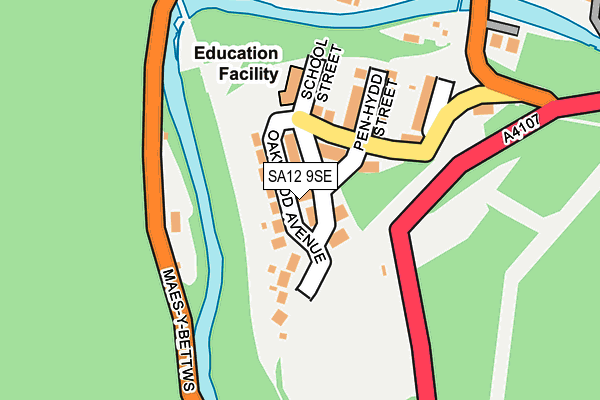 SA12 9SE map - OS OpenMap – Local (Ordnance Survey)