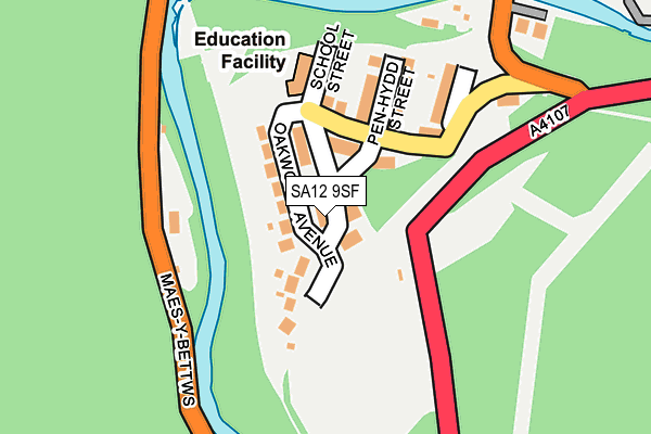 SA12 9SF map - OS OpenMap – Local (Ordnance Survey)