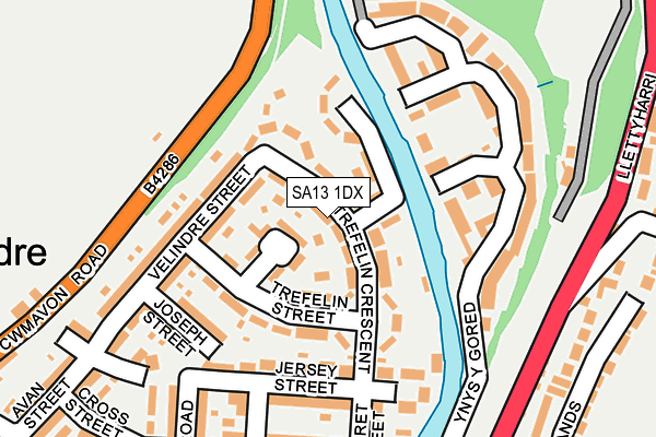 SA13 1DX map - OS OpenMap – Local (Ordnance Survey)