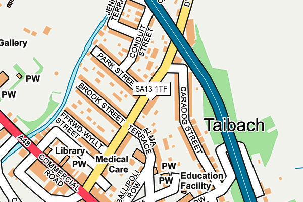 SA13 1TF map - OS OpenMap – Local (Ordnance Survey)