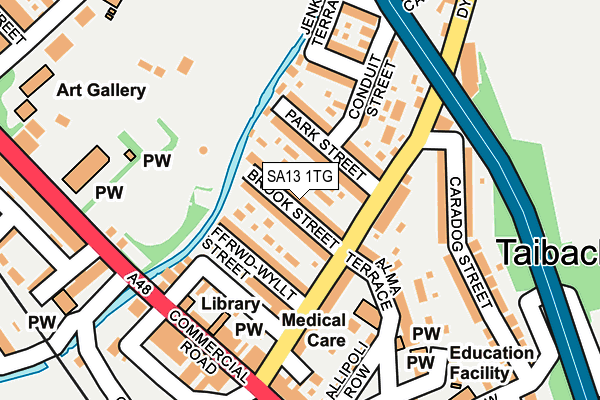 SA13 1TG map - OS OpenMap – Local (Ordnance Survey)