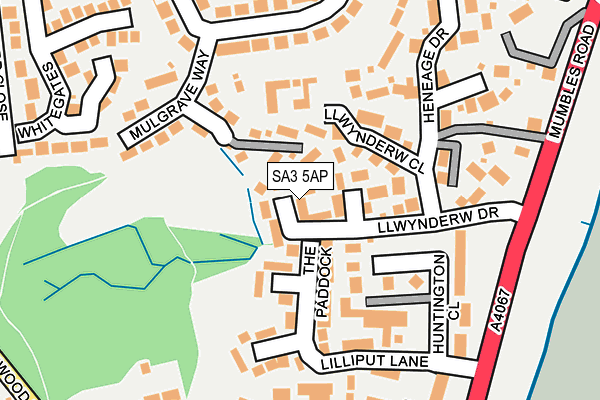 SA3 5AP map - OS OpenMap – Local (Ordnance Survey)