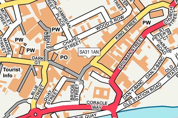 SA31 1AN map - OS OpenMap – Local (Ordnance Survey)