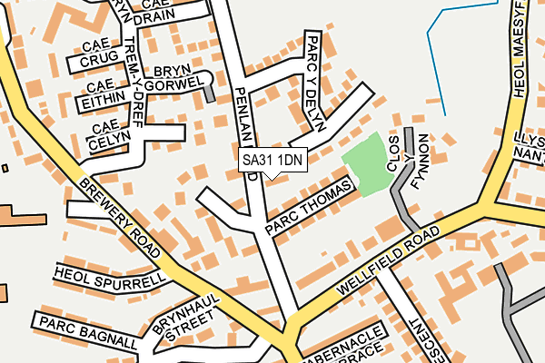 SA31 1DN map - OS OpenMap – Local (Ordnance Survey)