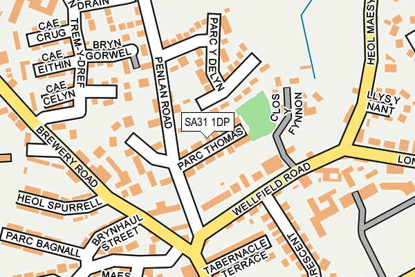 SA31 1DP map - OS OpenMap – Local (Ordnance Survey)