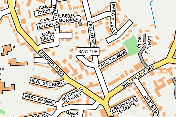 SA31 1DR map - OS OpenMap – Local (Ordnance Survey)