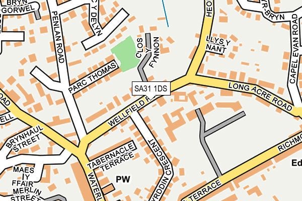 SA31 1DS map - OS OpenMap – Local (Ordnance Survey)