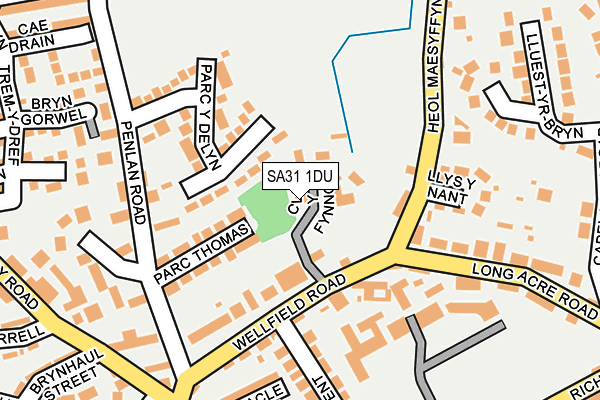 SA31 1DU map - OS OpenMap – Local (Ordnance Survey)