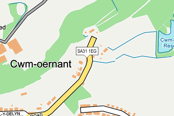 SA31 1EG map - OS OpenMap – Local (Ordnance Survey)