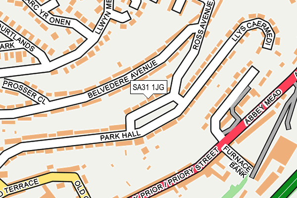 SA31 1JG map - OS OpenMap – Local (Ordnance Survey)