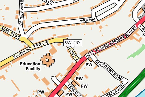 SA31 1NY map - OS OpenMap – Local (Ordnance Survey)