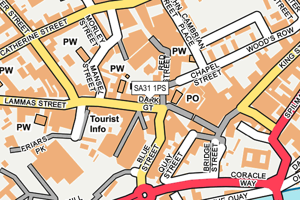 SA31 1PS map - OS OpenMap – Local (Ordnance Survey)