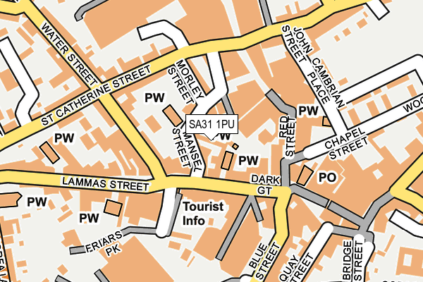 SA31 1PU map - OS OpenMap – Local (Ordnance Survey)