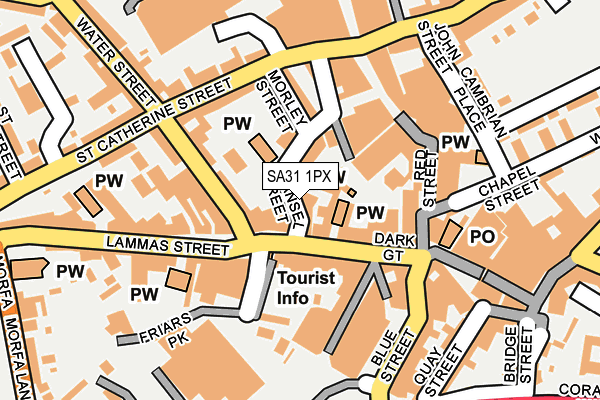 SA31 1PX map - OS OpenMap – Local (Ordnance Survey)