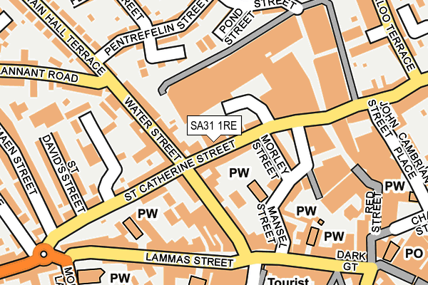 SA31 1RE map - OS OpenMap – Local (Ordnance Survey)