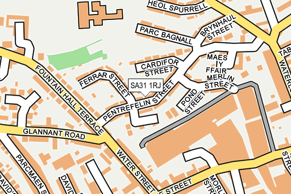 SA31 1RJ map - OS OpenMap – Local (Ordnance Survey)