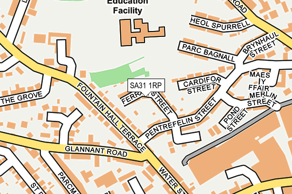 SA31 1RP map - OS OpenMap – Local (Ordnance Survey)