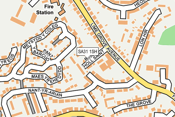 SA31 1SH map - OS OpenMap – Local (Ordnance Survey)