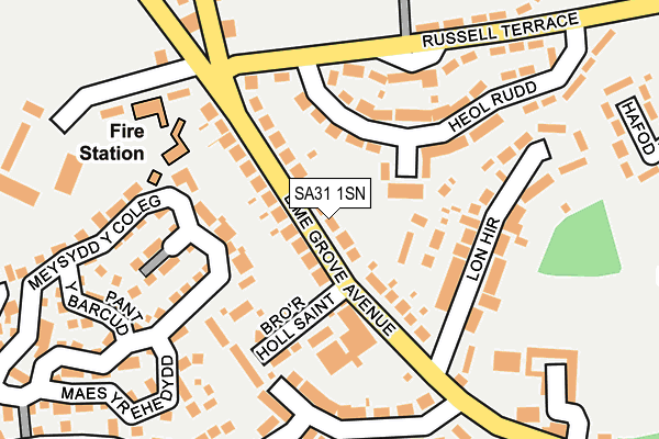 SA31 1SN map - OS OpenMap – Local (Ordnance Survey)