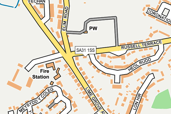 SA31 1SS map - OS OpenMap – Local (Ordnance Survey)