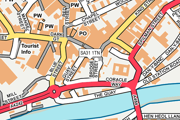 SA31 1TN map - OS OpenMap – Local (Ordnance Survey)