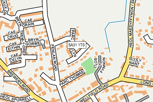 SA31 1TS map - OS OpenMap – Local (Ordnance Survey)