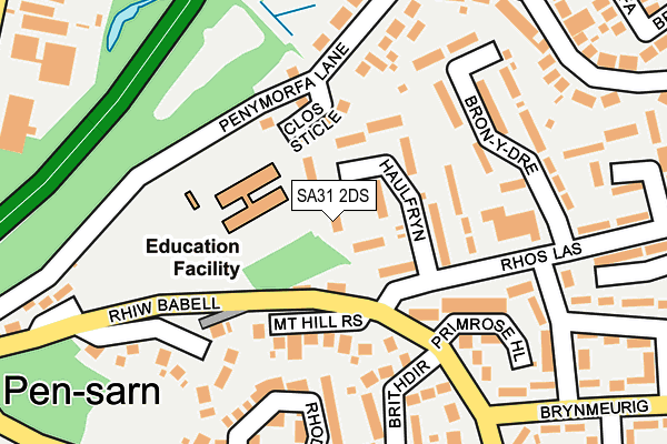 SA31 2DS map - OS OpenMap – Local (Ordnance Survey)