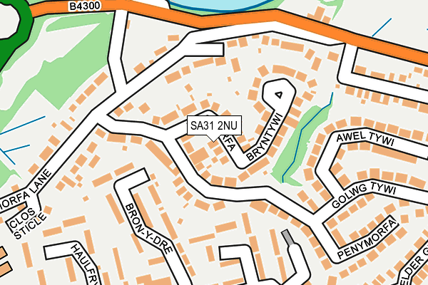 SA31 2NU map - OS OpenMap – Local (Ordnance Survey)