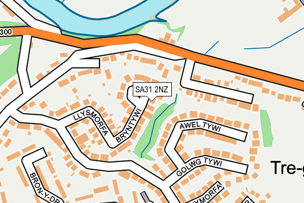 SA31 2NZ map - OS OpenMap – Local (Ordnance Survey)