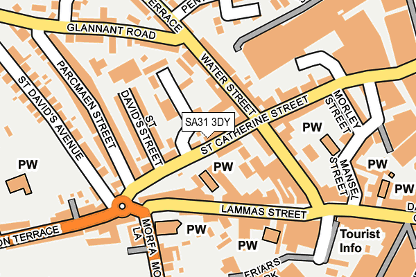 SA31 3DY map - OS OpenMap – Local (Ordnance Survey)