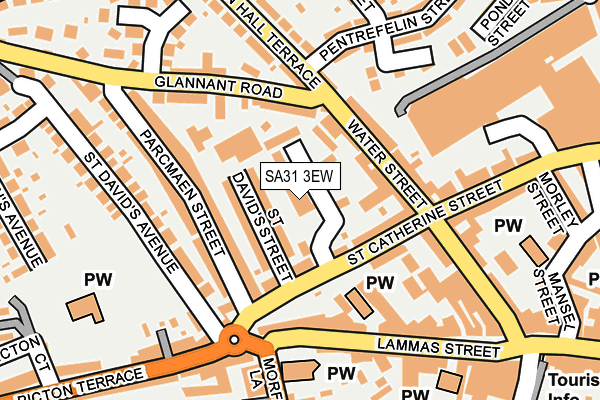 SA31 3EW map - OS OpenMap – Local (Ordnance Survey)