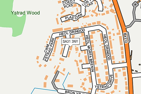 SA31 3NY map - OS OpenMap – Local (Ordnance Survey)