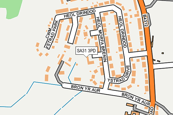 SA31 3PD map - OS OpenMap – Local (Ordnance Survey)