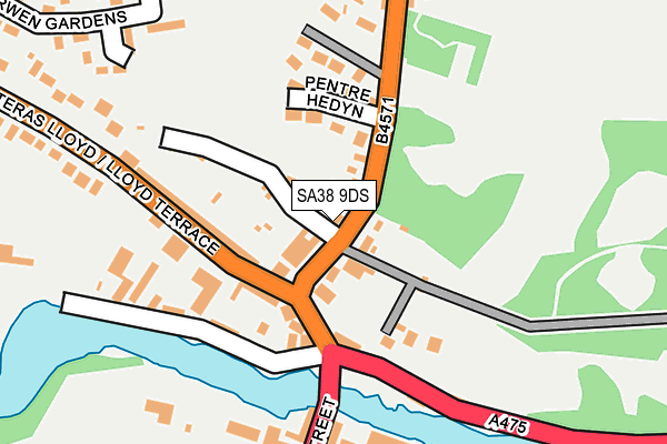 SA38 9DS map - OS OpenMap – Local (Ordnance Survey)