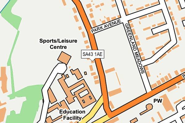 SA43 1AE map - OS OpenMap – Local (Ordnance Survey)