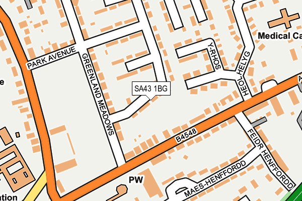 SA43 1BG map - OS OpenMap – Local (Ordnance Survey)