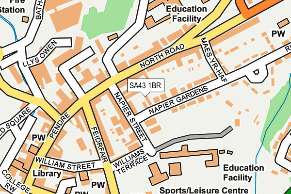 SA43 1BR map - OS OpenMap – Local (Ordnance Survey)