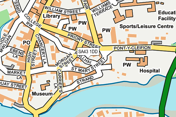 SA43 1DD map - OS OpenMap – Local (Ordnance Survey)