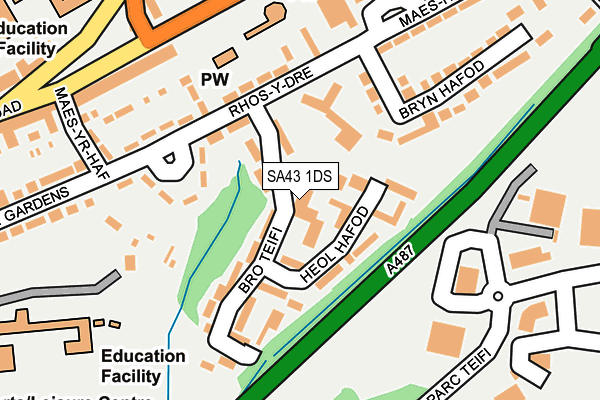 SA43 1DS map - OS OpenMap – Local (Ordnance Survey)